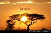 África ( Clic para mudar de imagem ) Onde tudo acontece, onde tudo fica por acontecer. nossa terra!