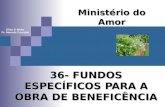 36- FUNDOS ESPECÍFICOS PARA A OBRA DE BENEFICÊNCIA Ministério do Amor Ellen G White Pr. Marcelo Carvalho.