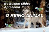 By Búzios Slides Apresenta O REINO ANIMAL  Automático.
