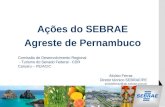 0800 570 0800 |  Fonte: SEBRAE/ PE Ações do SEBRAE Agreste de Pernambuco Aloísio Ferraz Diretor técnico SEBRAE/PE aloisioferraz@pe.sebrae.com.br.
