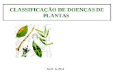 CLASSIFICAÇÃO DE DOENÇAS DE PLANTAS Abril de 2014.
