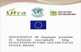 MANAGEMENT OF Hypsipyla grandella IN Swietenia macrophylla King PLANTATIONS IN PARÁ AND SÃO PAULO STATES, BRAZIL.