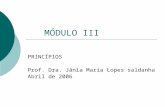 MÓDULO III PRINCÍPIOS Prof. Dra. Jânia Maria Lopes saldanha Abril de 2006.