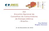 XVI Encontro Nacional de Conselhos de Consumidores de Energia elétrica - Brasília - Ruy Bottesi Ângelo Gianazzi 21 de Novembro de 2014.