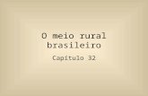 O meio rural brasileiro Capítulo 32. A atividade agrária vem se modernizando no Brasil nas últimas décadas, se tornando um importante ramo da atividade.