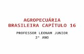 AGROPECUÁRIA BRASILEIRA CAPÍTULO 16 PROFESSOR LEONAM JUNIOR 2º ANO.