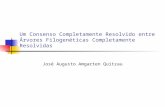 Um Consenso Completamente Resolvido entre Árvores Filogenéticas Completamente Resolvidas José Augusto Amgarten Quitzau.