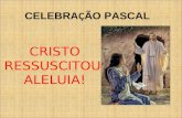 CELEBRA Ç ÃO PASCAL CRISTO RESSUSCITOU, ALELUIA!.