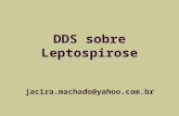 DDS sobre Leptospirose jacira.machado@yahoo.com.br.