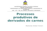 Processos produtivos de derivados de carnes UNIVERSIDADE FEDERAL DE SANTA CATARINA CENTRO TECNOLÓGICO DEPARTAMENTO DE ENGENHARIA QUIMICA E ENGENHARIA DE.