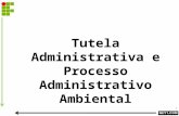 1 Tutela Administrativa e Processo Administrativo Ambiental.