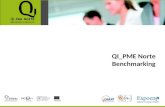 QI_PME Norte Benchmarking. 2ª actividade da 1ª Fase do Programa Programa QI_PME NORTE Diagnóstico Organizacional Seminário de Diagnóstico Benchmarking.