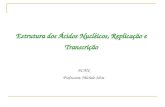 Estrutura dos Ácidos Nucléicos, Replicação e Transcrição DCAN Professora: Michele Silva.
