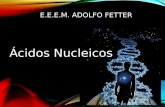 E.E.E.M. ADOLFO FETTER Ácidos Nucleicos. Os ácidos nucleicos são assim chamados por seu caráter ácido e por terem sido originalmente descobertos no núcleo.