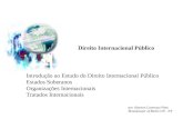 Introdução ao Estudo do Direito Internacional Público Estados Soberanos Organizações Internacionais Tratados Internacionais Direito Internacional Público.