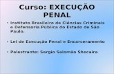 Curso: EXECUÇÃO PENAL Instituto Brasileiro de Ciências Criminais e Defensoria Pública do Estado de São Paulo. Lei de Execução Penal e Encarceramento Palestrante: