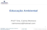 CESUMAR – Núcleo de Educação a Distância  © Todos os direitos reservados 44 3027-6363 Educação Ambiental Prof.ª Dra. Carina Moresco camoresco@hotmail.com.