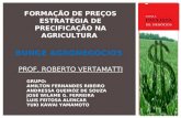 BUNGE AGRONEGÓCIOS FORMAÇÃO DE PREÇOS ESTRATÉGIA DE PRECIFICAÇÃO NA AGRICULTURA PROF. ROBERTO VERTAMATTI GRUPO: AMILTON FERNANDES RIBEIRO ANDRESSA QUEIRÓZ.