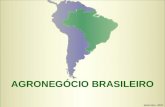 AGRONEGÓCIO BRASILEIRO Setembro, 2007. O Conceito Agronegócio AMBIENTE INSTITUCIONAL CULTURA, TRADIÇÕES, EDUCAÇÃO, COSTUMES AMBIENTE ORGANIZACIONAL INFORMAÇÃO,