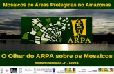 Mosaicos de Áreas Protegidas no Amazonas O Olhar do ARPA sobre os Mosaicos Ronaldo Weigand Jr., Coord.