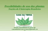 Possibilidades de uso das plantas Noções de Fitoterapia Brasileira @gmail.com.