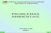 PROBLEMAS AMBIENTAIS Turma 154 2007 CIESC Imaculada Conceição REVISTA VIRTUAL SAIR.