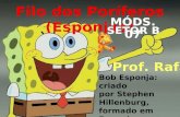 Filo dos Poríferos (Esponjas) Bob Esponja: criado por Stephen Hillenburg, formado em Desenho e em Biologia Marinha MÓDS. 07 Prof. Rafa SETOR B.