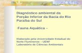 Diagnóstico ambiental da Porção Inferior da Bacia do Rio Paraíba do Sul -Fauna Aquática – Elaborado pela Universidade Estadual do Norte Fluminense – UENF.