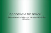 GEOGRAFIA DO BRASIL - FATORES GEOGRÁFICOS DA ORGANIZAÇÃO AGRÀRIA -
