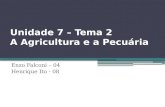 Unidade 7 – Tema 2 A Agricultura e a Pecuária Enzo Falconi – 04 Henrique Ito - 08.