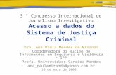 Acesso a dados do Sistema de Justiça Criminal Dra. Ana Paula Mendes de Miranda Coordenadora do Núcleo de Informações em Segurança e Violência - IPP Profa.