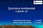 Química Ambiental Capítulo 18 Jhomolos Gomes Alvesnº 15980 Rafael Felipe de Oliveiranº 15781 1/34.