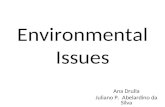 Environmental Issues Ana Drulla Juliano P. Abelardino da Silva Thamy Soavinsky.