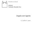 Angola com Agente A. Carlile H. Lavor. Períodos em Angola: Carlile e Míria Primeiro - maio 2007 a maio de 2008 Implantação dos Agentes Comunitários de.
