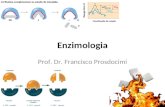 Enzimologia Prof. Dr. Francisco Prosdocimi. A vida e a energia para a vida Duas condições fundamentais: 1.Autorreplicação 2.Metabolismo Catálise enzimática.