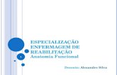 1 ESPECIALIZAÇÃO ENFERMAGEM DE REABILITAÇÃO Anatomia Funcional Docente: Alexandre Silva 1.