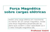 Força Magnética sobre cargas elétricas Sobre uma carga elétrica em movimento no interior de um campo magnético, existe uma força magnética perpendicular.