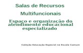 Salas de Recursos Multifuncionais Espaço e organização do atendimento educacional especializado Coleção Educação Especial na Escola Comum.