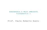ENGENHARIA E MEIO AMBIENTE Fundamentos 1 Prof. Paulo Roberto Koetz.