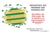 DESAFIOS DO MUNDO DO TRABALHO. Desafios do Mercado de Trabalho no Agronegócio Brasileiro. 13/09/2014 Professor Gerson Batistella.