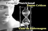 Terapia Nutricional Pontos Críticos Visão da Enfermagem Pontos Críticos Visão da Enfermagem.