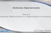 Tema 3 Sistemas Operacionais e a organização em processos Sistemas Operacionais Luis Cezar Ribeiro.