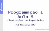 Programação I Aula 5 (Instruções de Repetição) Prof. Gilberto Irajá Müller Última atualização 24/3/2009.
