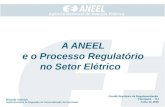Agência Nacional de Energia Elétrica A ANEEL e o Processo Regulatório no Setor Elétrico Comitê Brasileiro de Regulamentação Petrópolis - RJ Julho de 2006.