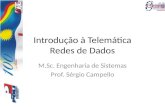 Introdução à Telemática Redes de Dados M.Sc. Engenharia de Sistemas Prof. Sérgio Campello.
