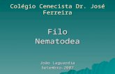 Colégio Cenecista Dr. José Ferreira FiloNematodea João Laguardia Setembro-2007.