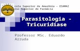 Parasitologia - Tricuridíase Professor MSc. Eduardo Arruda Escola Superior da Amazônia – ESAMAZ Curso Superior de Farmácia.
