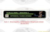 Aula 3 – Bioenergética, fermentação e Respiração Celular 05/04/2011 Profº Skiba ™ all rights reserved.