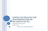 ESPECIALIZAÇÃO EM ENFERMAGEM DE REABILITAÇÃO Anatomia funcional Aula 4 e 5 Docente: Alexandre Silva 1.