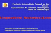 Fundação Universidade Federal do Rio Grande Departamento de Ciências Fisiológicas Setor de Farmacologia Bloqueadores Neuromusculares Organização:Ana Luiza.